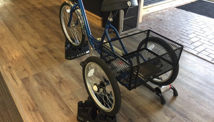 sportcrafters trike trainer